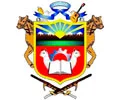 MUNICIPALIDAD DE PICHACANI Logo