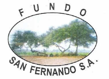 Fundo San Fernando S.A. Logo
