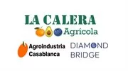 AGROINDUSTRIA CASABLANCA S.A.C. Logo
