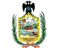 MUNICIPALIDAD DE VICCO Logo
