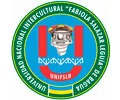 UNIVERSIDAD DE BAGUA Logo